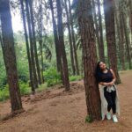 Alphy Panjikaran Instagram - Find joy in the journey 🤗🏝 @le_collines #picoftheday #travel #weekend #special #wagamon #travelphotography #travelgram #happy #peace #selflove #instagram Pine Forest Vagamon
