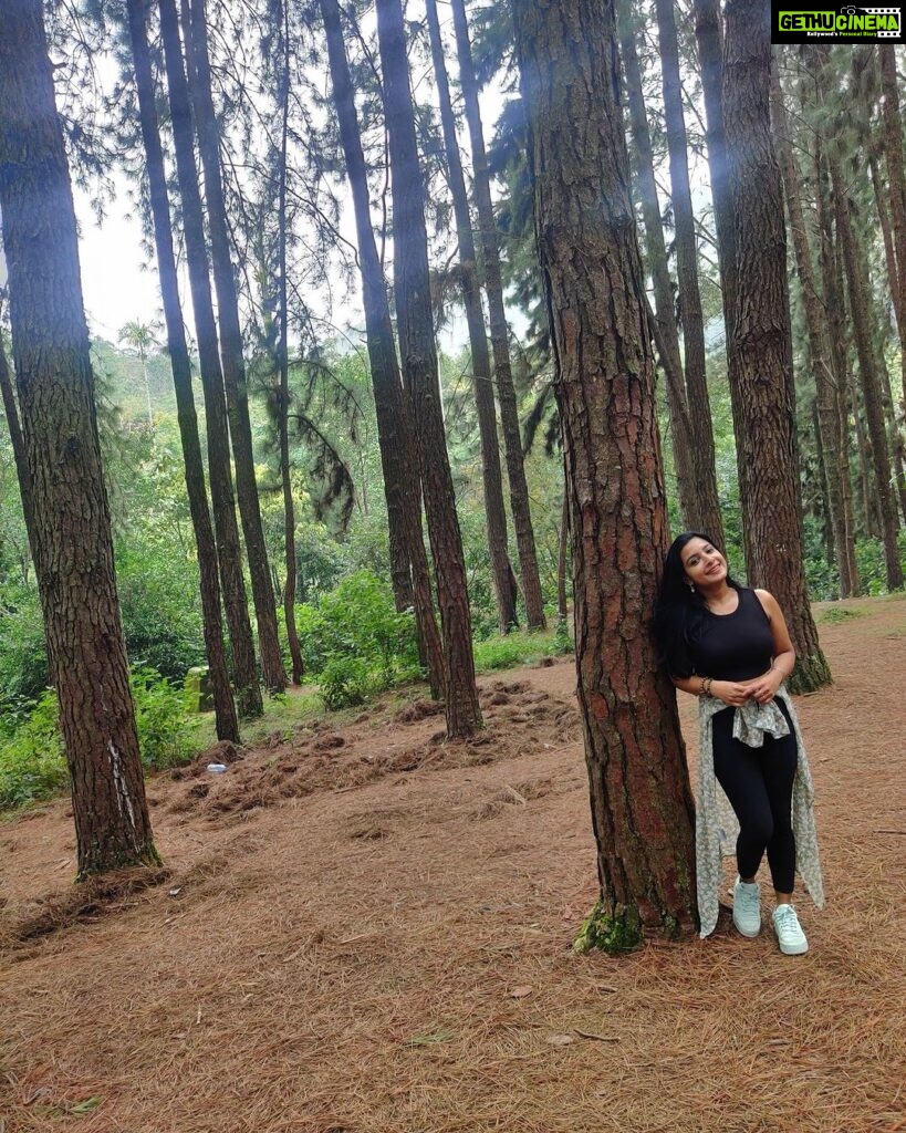Alphy Panjikaran Instagram - Find joy in the journey 🤗🏝 @le_collines #picoftheday #travel #weekend #special #wagamon #travelphotography #travelgram #happy #peace #selflove #instagram Pine Forest Vagamon