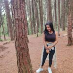 Alphy Panjikaran Instagram - Find joy in the journey 🤗🏝 @le_collines #picoftheday #travel #weekend #special #wagamon #travelphotography #travelgram #happy #peace #selflove #instagram Pine Forest Vagamon
