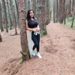Alphy Panjikaran Instagram - Find joy in the journey 🤗🏝 @le_collines #picoftheday #travel #weekend #special #wagamon #travelphotography #travelgram #happy #peace #selflove #instagram Pine Forest Vagamon