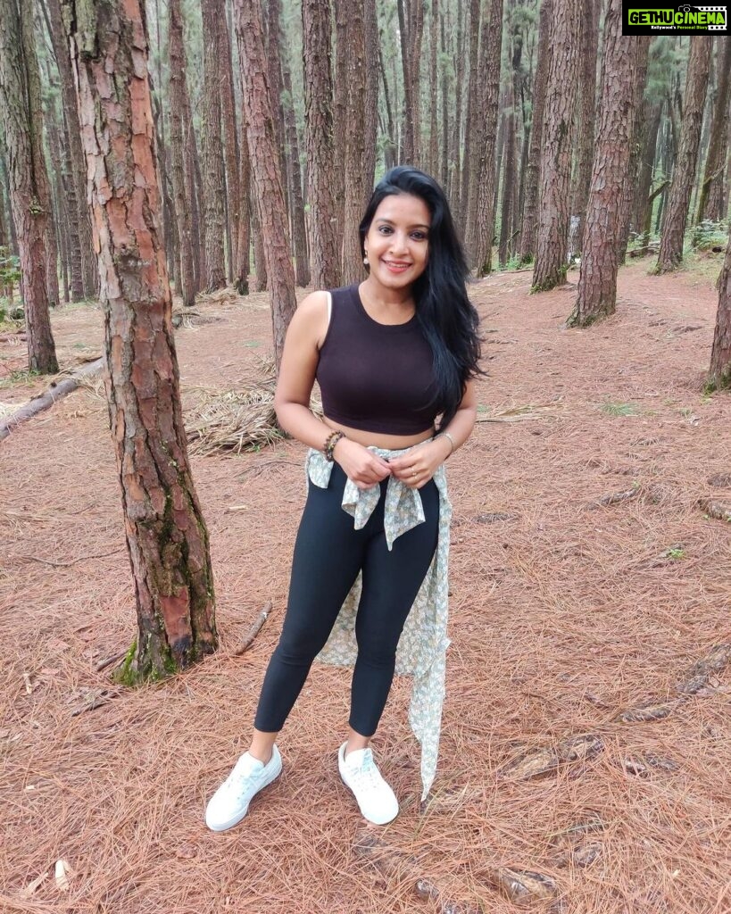 Alphy Panjikaran Instagram - Find joy in the journey 🤗🏝 @le_collines #picoftheday #travel #weekend #special #wagamon #travelphotography #travelgram #happy #peace #selflove #instagram Pine Forest Vagamon