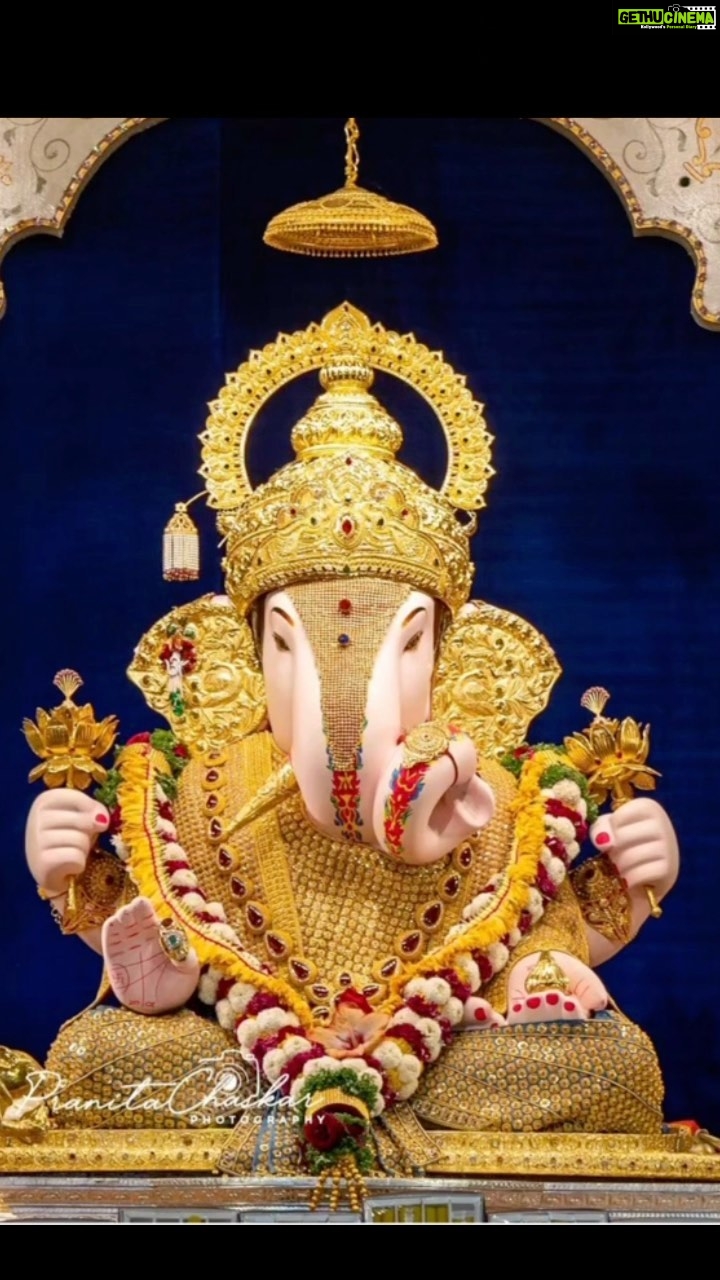 Amrapali Dubey Instagram - श्रीमंत, कृपा असुदया आम्हावरी 🥰🙏🏻 #ganpatibappamorya🙏 #lambodaraya🙏🏻 #vighneshwaraya🙏🏻 #gaurisutaya🙏🏻 #karunakaraya🙏🏻 #dhumravarna🙏🏻#ekdant🙏🏻 #gannayakaya🙏🏻🥰 #happyganeshchaturthi❤️