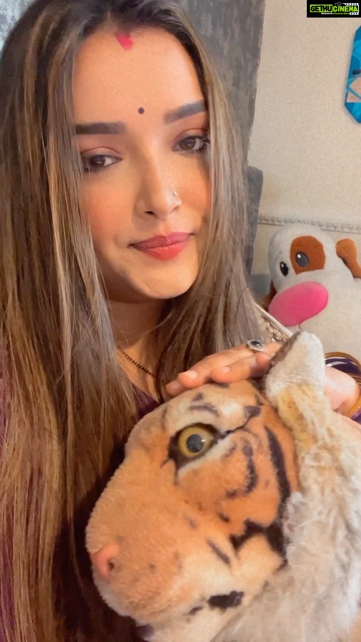 Amrapali Dubey Instagram - बोलो क्या कहना है शेरनी से ? 👻🤣