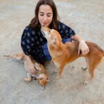 Amrutha Srinivasan Instagram - Everything about documenting these two has been off the usual track of how weddings and wedding-things are made to be, and more in tune with the people they are… and it only made sense to do this part of the shoot in a place close to their hearts, among those that they love dearly :) ⁣ ⁣ Happy anniversary, floofs! ⁣ Thank you for having us around, to witness, partake, document. We love you ♥️⁣ ⁣ Shot by: @dignifiedrepose⁣ ⁣ #simplestories #documentinglove #simplepictures #SweetKarAm ⁣ ⁣