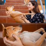 Amrutha Srinivasan Instagram - Everything about documenting these two has been off the usual track of how weddings and wedding-things are made to be, and more in tune with the people they are… and it only made sense to do this part of the shoot in a place close to their hearts, among those that they love dearly :) ⁣ ⁣ Happy anniversary, floofs! ⁣ Thank you for having us around, to witness, partake, document. We love you ♥️⁣ ⁣ Shot by: @dignifiedrepose⁣ ⁣ #simplestories #documentinglove #simplepictures #SweetKarAm ⁣ ⁣