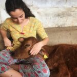 Amrutha Srinivasan Instagram – 🐮♥️👩🏻 Blue Cross of India