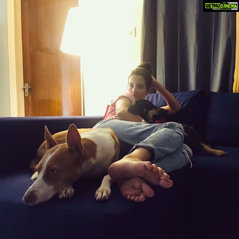 Amrutha Srinivasan Instagram - Sundaze all days.