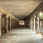 Amrutha Srinivasan Instagram - To the marvellous, beautiful things I took back with me on this trip to Thirunelveli :) I took all these pictures with so God damn much awe (except for the last one - where my dad was given specific instructions on framing 😂). There are so many more but these pictures just don't do any damn justice to the beauty of nature I felt, the architecture I was mesmerised by, or the drama and tension in the family that was going on behind the scenes. #peace