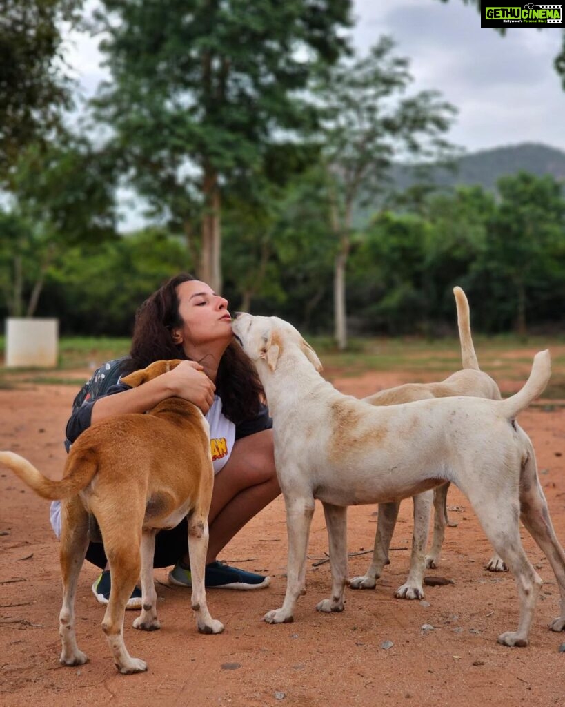 Amrutha Srinivasan Instagram - Just gonna leave these here without an explanation. Want to remember and cherish this day forever. @fit_o_crazy @evolving_lifee @pankajkrishnan @deepak_darshan_ and everyone that was there 💜 P.S.: I'm convinced I was put on this Earth to pet as many dogs as I can.