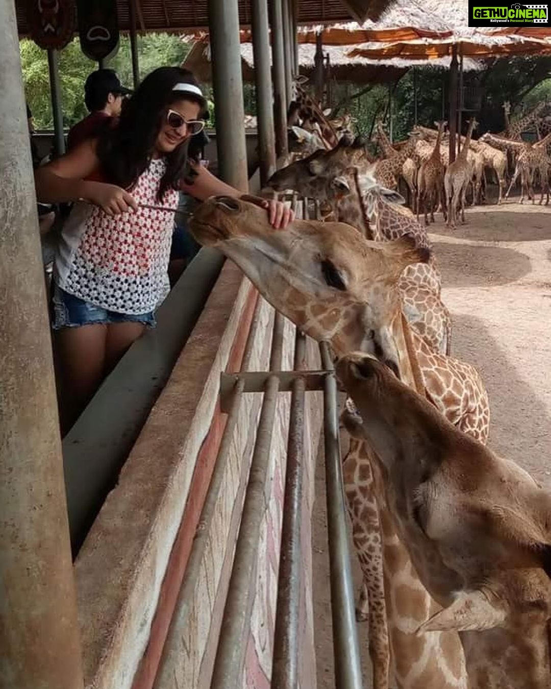 Ananya Agarwal Instagram - swipe to go back in time🕰️ Safari World