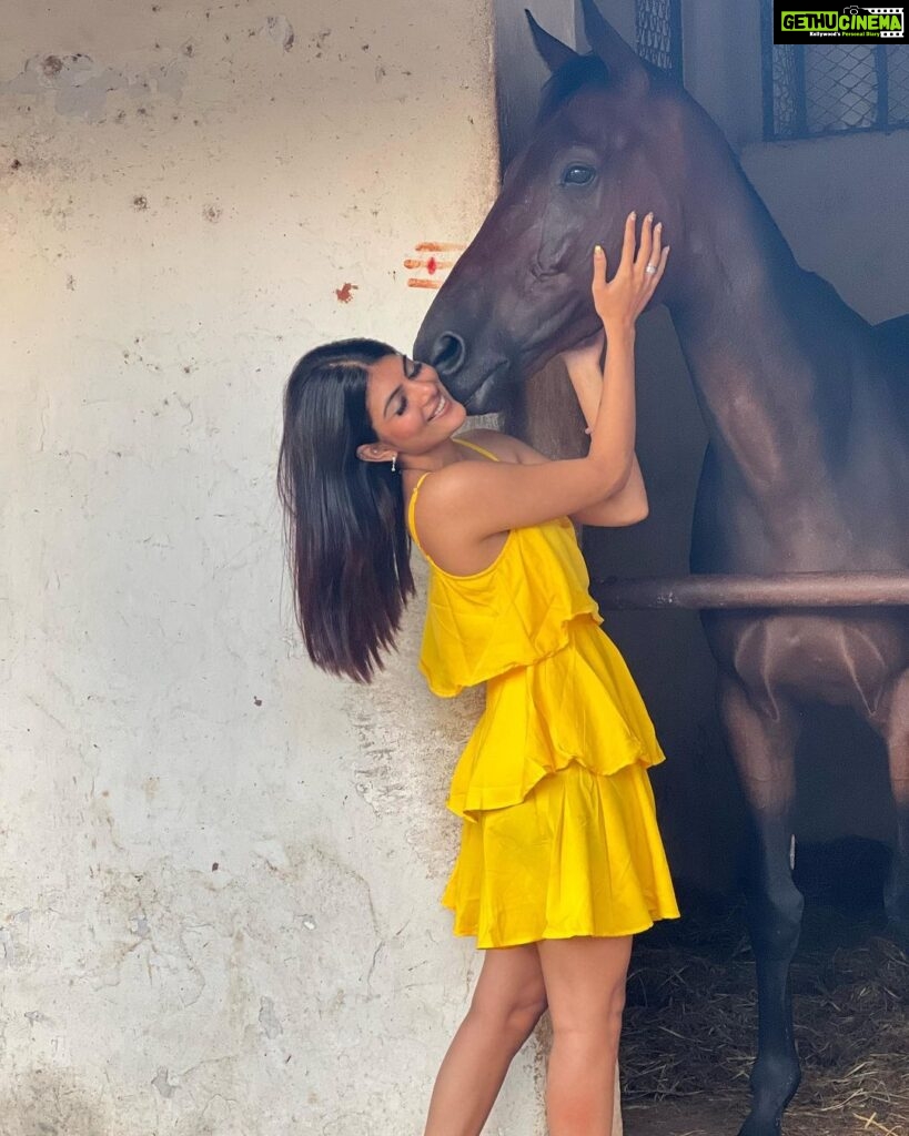 Ananya Rao Instagram - Fell in love all over again♥️ #priorities #love #new #horselove #pretty #strong #alive #love #happymood #peaceful #beauty #beautiful #feelingblessed #ananya #feltpretty #southindiangirls #south #indiangirls #india #instagram #instagood #instadaily #soul #glow #horse #ananya #twins Madras Race Club Race Park