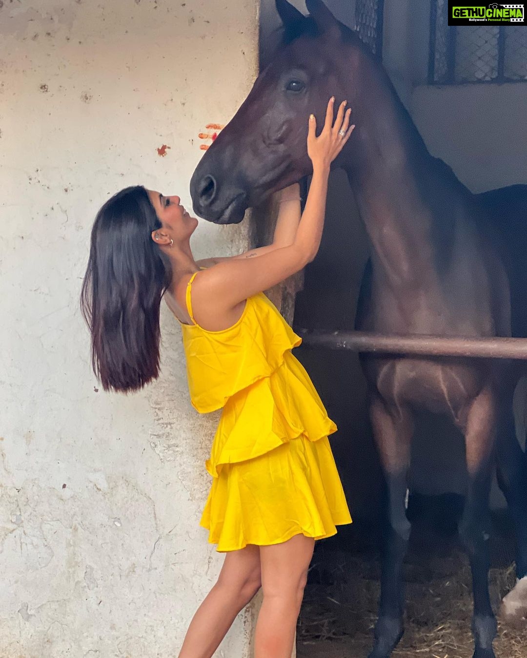 Ananya Rao Instagram - Fell in love all over again♥️ #priorities #love #new #horselove #pretty #strong #alive #love #happymood #peaceful #beauty #beautiful #feelingblessed #ananya #feltpretty #southindiangirls #south #indiangirls #india #instagram #instagood #instadaily #soul #glow #horse #ananya #twins Madras Race Club Race Park