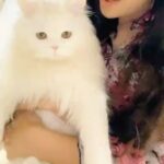 Angela Krislinzki Instagram - [RIP] Angel krislinzki 6/7/2019 26/9/2021 My 1st pet u will always be my number one, most beautiful. Just like your name you are a true angel. My tiktok star. I lost a part of my soul when i lost you. Sorry if i ever neglected you as I realised today life is really unexpected and short. I love you. ❤️