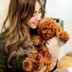 Angela Krislinzki Instagram - Welcome home @moschinokrislinzki my little living teddy 🧸 #lovemoschino #moschinokrislinzki #moschino #teacuppoodle #toypoodle #poodle #dog #dogsofinstagram #dogstagram #poodlesofinstagram #puppy #poodlelove #dogs #instadog #puppylove #toypoodlesofinstagram #doglover #poodles #redtoypoodle #poodlepuppy #doglife #dogoftheday #cute #puppiesofinstagram #poodlegram #toypoodlelove #poodlelife #toypoodlepuppy #redpoodle #doglovers