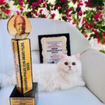 Angela Krislinzki Instagram - Such a honour to receive such a prestigious award... Dadasaheb phalke icon awards film- Most versatile Actress... #blessed #dadasahebphalkeiconaward