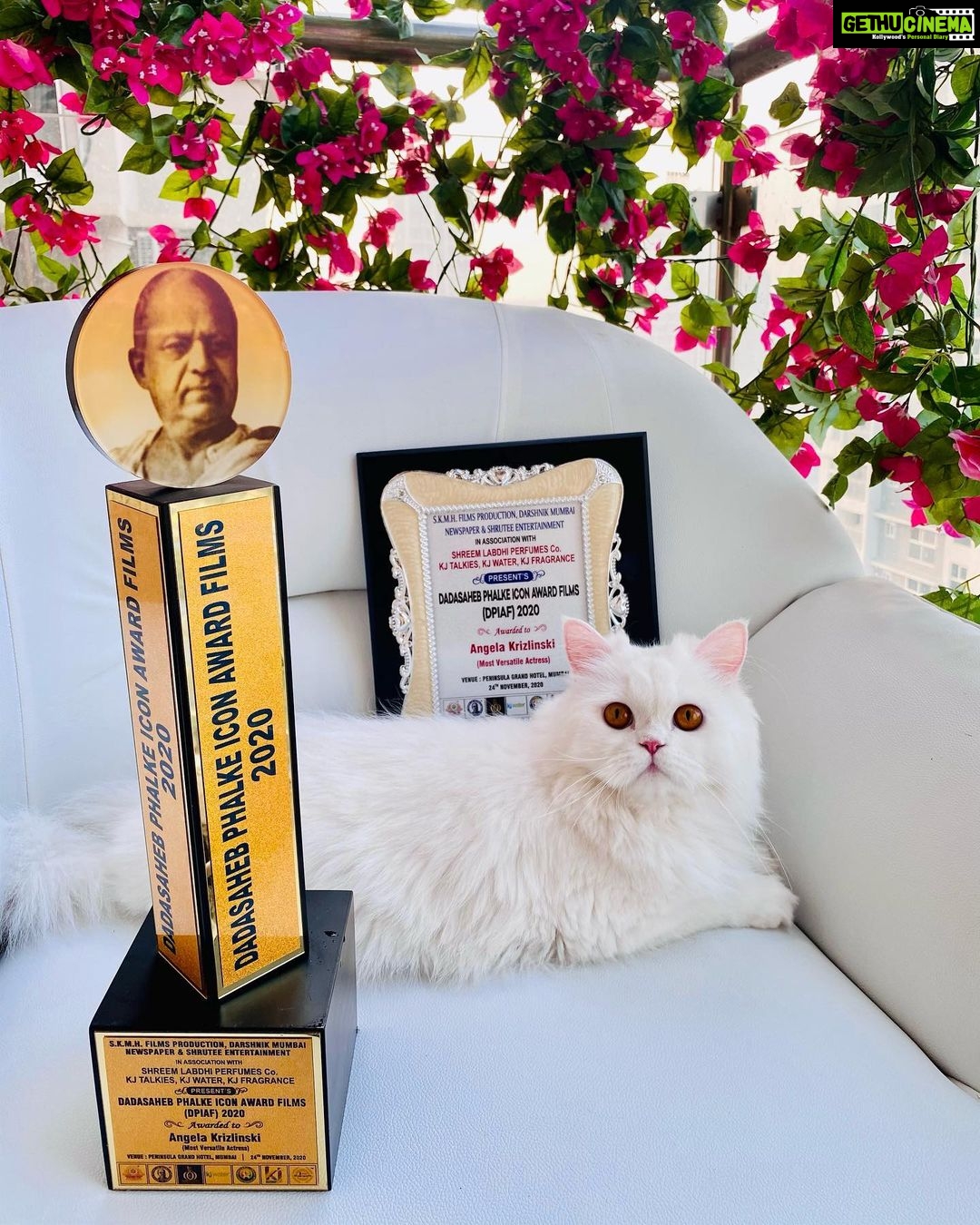 Angela Krislinzki Instagram - Such a honour to receive such a prestigious award... Dadasaheb phalke icon awards film- Most versatile Actress... #blessed #dadasahebphalkeiconaward