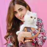 Angela Krislinzki Instagram - Meet my little bundle of Joy✨✨ ‘Angel’ ✨💕😇⭐️