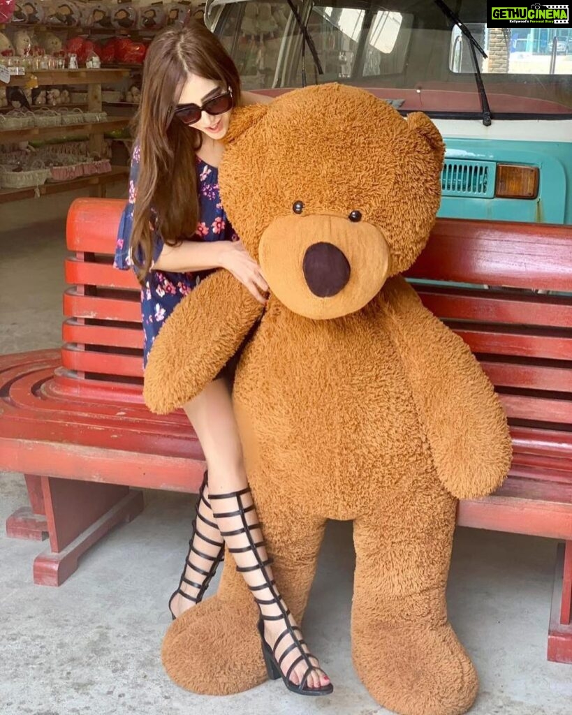 Angela Krislinzki Instagram - Teddy bear Teddy bear where have you been? Cuddling with you would be perfect right now 🐻😍