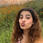 Anisha Victor Instagram – Hindi wala फूल 🌻🪻 Western Ghats