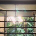 Anisha Victor Instagram - I love looking out of the window… I could do it for hours.. and it may seem like a colossal waste of time to many but it brings me peace. A short meaningful pause in the chaos of the city( same AQI but still helps). I’m running at hundred miles per hour… okay not literally 100 miles/hour but you get the picture. The path is uneven, might even hit my toe against a rock sticking out of the ground, the coconut just about hanging on to its last fibre misses you by a second or maybe not, a gust of wind brings with it some sand ready to make my eye a temporary habitat (and if it has to be… let it be my left eye God! I use the right one to shoot). The little insect aims straight for the eyes or the nose or the mouth and that’s my first meal of the day. The little pebble… a teeny tiny microscopic pebble in my shoe! Do not underestimate it. You know the feeling right! It’s not exactly an itch you can’t scratch…you can take off your shoe and ….well just scratch your foot and take the invincible pebble out but wouldn’t it be nice to go just one day without that happening. The crow pooped on my shirt but I’m still running because at least it didn’t get my hair this time, no reason for me to stop now when some detergent and water can take care of it later. And of course you’re going to encounter a curve ball… and I’m not taking metaphorically here;an actual curve ball. Well, what was I expecting…I’m on a track in a Cricket field. But I keep running. I see my smartwatch and I stop to quench my thirst. Luckily I have a bottle of sweet sweet water on me. Now back to running again…and if you still think it’s about running… The water bottle is the window. 🪟 Fin. Bandra West