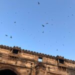 Anisha Victor Instagram - No trip to Ahmedabad is complete without buying beautiful block print fabric from teen darwaza market,buying keema samosas from Famous for my mum and a cup of chai with an unconventional setting at Lucky’s . 🏰 #ahmedabad #oldcity #teendarwaza #historicalbuilding #history #gujarat #goldenhour #swiftlets 🐦‍⬛ Teen Darwaja Market