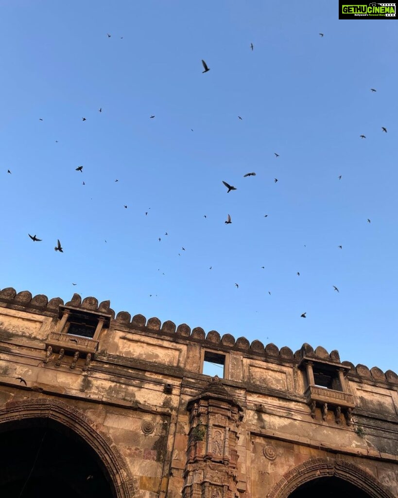 Anisha Victor Instagram - No trip to Ahmedabad is complete without buying beautiful block print fabric from teen darwaza market,buying keema samosas from Famous for my mum and a cup of chai with an unconventional setting at Lucky’s . 🏰 #ahmedabad #oldcity #teendarwaza #historicalbuilding #history #gujarat #goldenhour #swiftlets 🐦‍⬛ Teen Darwaja Market