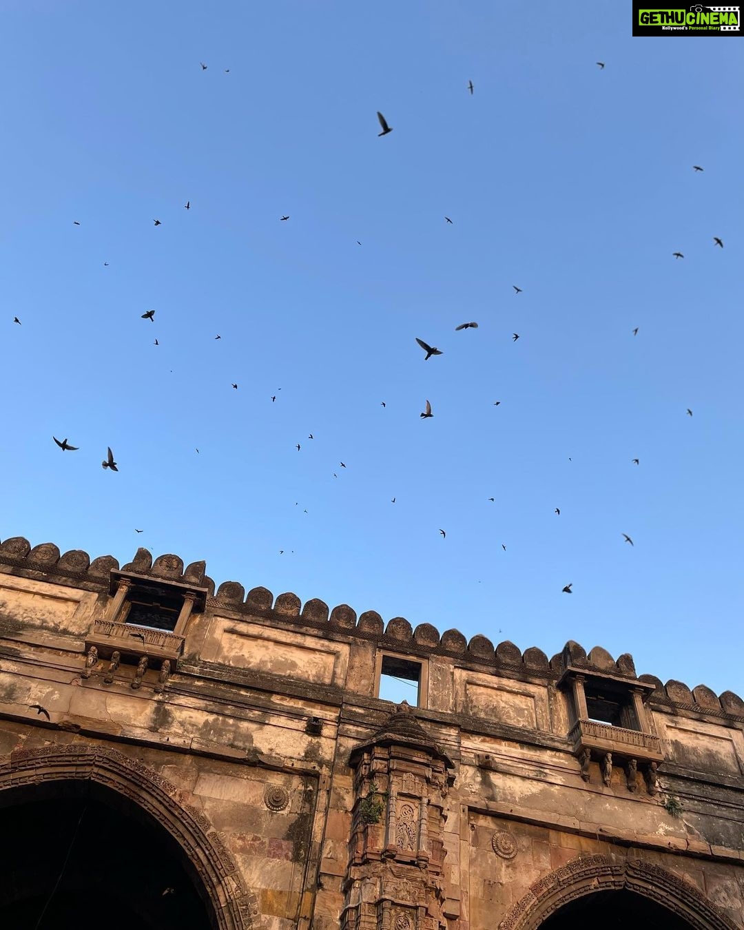 Anisha Victor Instagram - No trip to Ahmedabad is complete without buying beautiful block print fabric from teen darwaza market,buying keema samosas from Famous for my mum and a cup of chai with an unconventional setting at Lucky’s . 🏰 #ahmedabad #oldcity #teendarwaza #historicalbuilding #history #gujarat #goldenhour #swiftlets 🐦⬛ Teen Darwaja Market