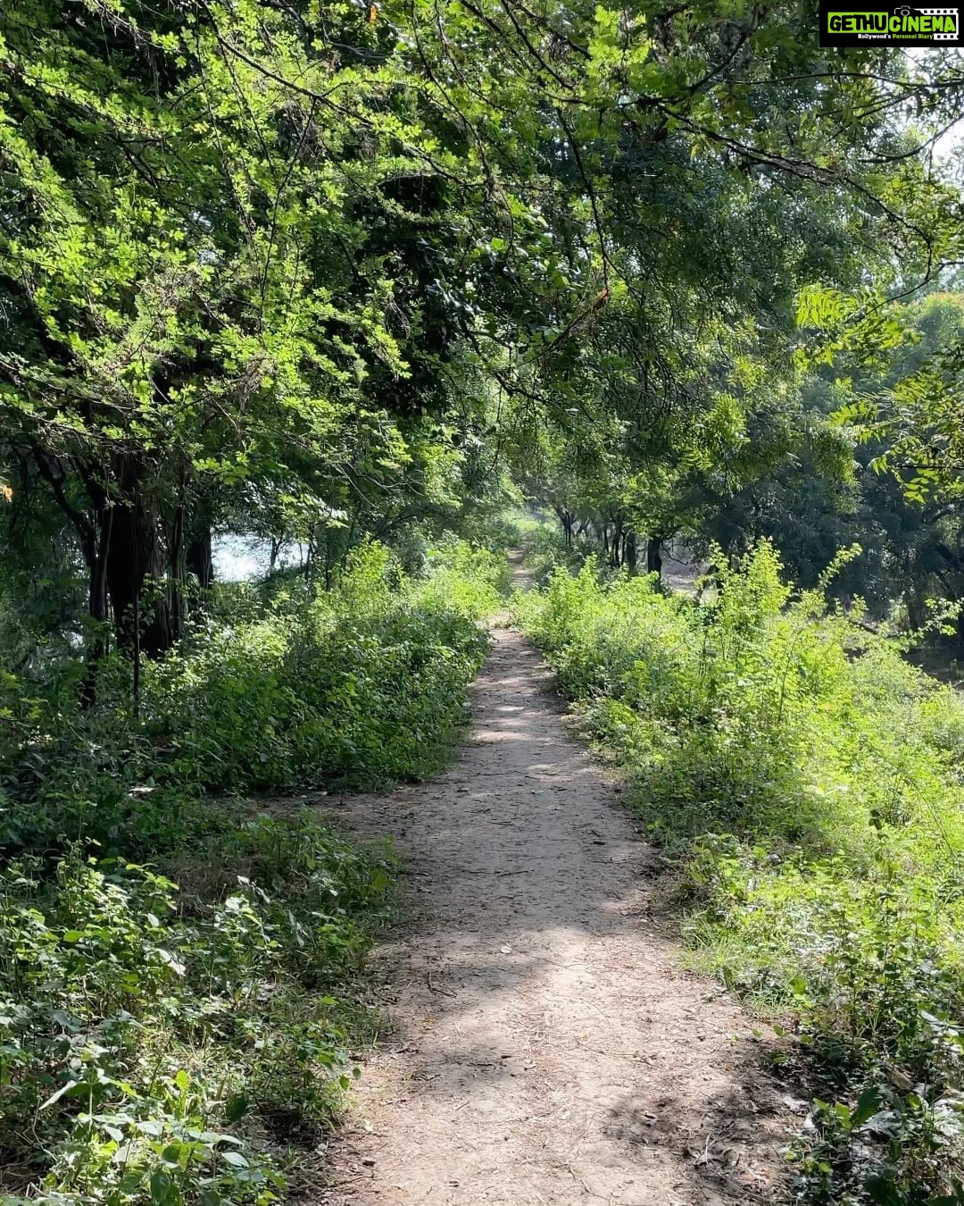 Anisha Victor Instagram - Post birthday🎂 bird-watching picnic🧺 but not without my binoculars 👀 Thank you for all the lovely wishes yesterday ♥️ #NationalHoldidayKid #iShareMyBirthdaywithGandhiJi #NationalHoliday #GandhiJayanti #birdwatching #ahmendabad #gujarat #thol #tholsanctuary #wildlife #picnie #birdsanctuary 🦆🐦⬛🦩🪿 Thol Bird Sanctuary