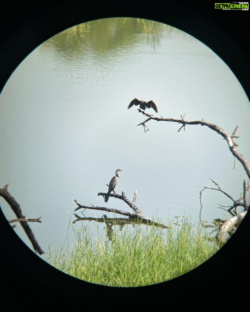 Anisha Victor Instagram - Post birthday🎂 bird-watching picnic🧺 but not without my binoculars 👀 Thank you for all the lovely wishes yesterday ♥️ #NationalHoldidayKid #iShareMyBirthdaywithGandhiJi #NationalHoliday #GandhiJayanti #birdwatching #ahmendabad #gujarat #thol #tholsanctuary #wildlife #picnie #birdsanctuary 🦆🐦‍⬛🦩🪿 Thol Bird Sanctuary