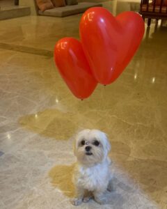 Anjali Instagram - Happy Valentine’s Day ❤️

#polodiaries #love