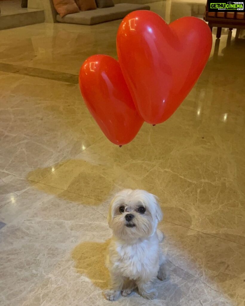 Anjali Instagram - Happy Valentine’s Day ❤️ #polodiaries #love