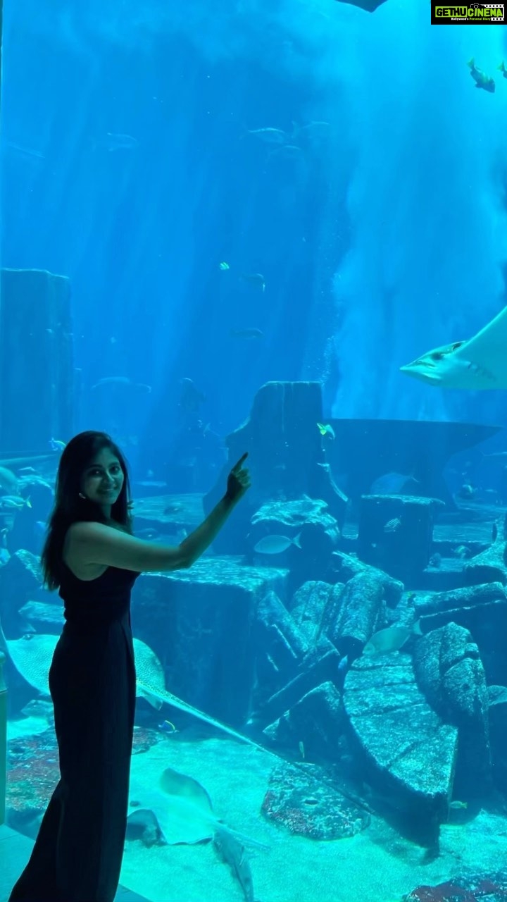 Anjali Instagram - Life lately 🏖 #vacation #diaries #mood #happy #weekend #instagram #reels