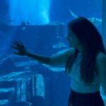 Anjali Instagram - Swaying through the week be like. #fish #world #aquarium #experience