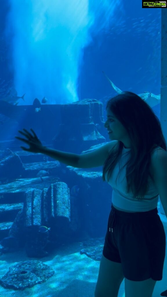 Anjali Instagram - Swaying through the week be like. #fish #world #aquarium #experience