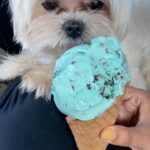 Anjali Instagram - It’s ice cream time 🍦🤤 ❤️ #polodiaries #icecream #love #my #cutie