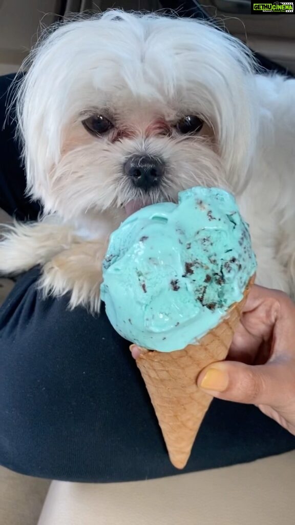 Anjali Instagram - It’s ice cream time 🍦🤤 ❤️ #polodiaries #icecream #love #my #cutie