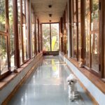 Anjali Instagram - It’s okay to be obsessed with you ❤️🧿 @moments_and_earth #polodiaries #love #style #swag #my #mini #rolex #happy #weekend