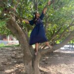 Anjali Instagram – Reliving childhood memories 💫🐒

#happy #weekend #childhood #memories #climbing #tree #throwback