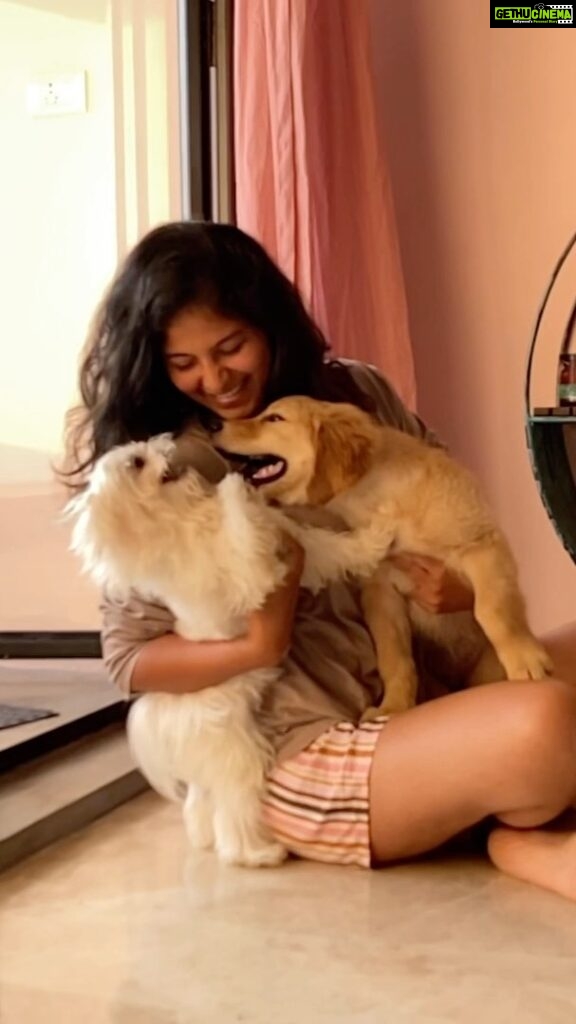 Anjali Instagram - #puppy #love #polo #crisper #polodiaries