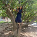 Anjali Instagram - Reliving childhood memories 💫🐒 #happy #weekend #childhood #memories #climbing #tree #throwback