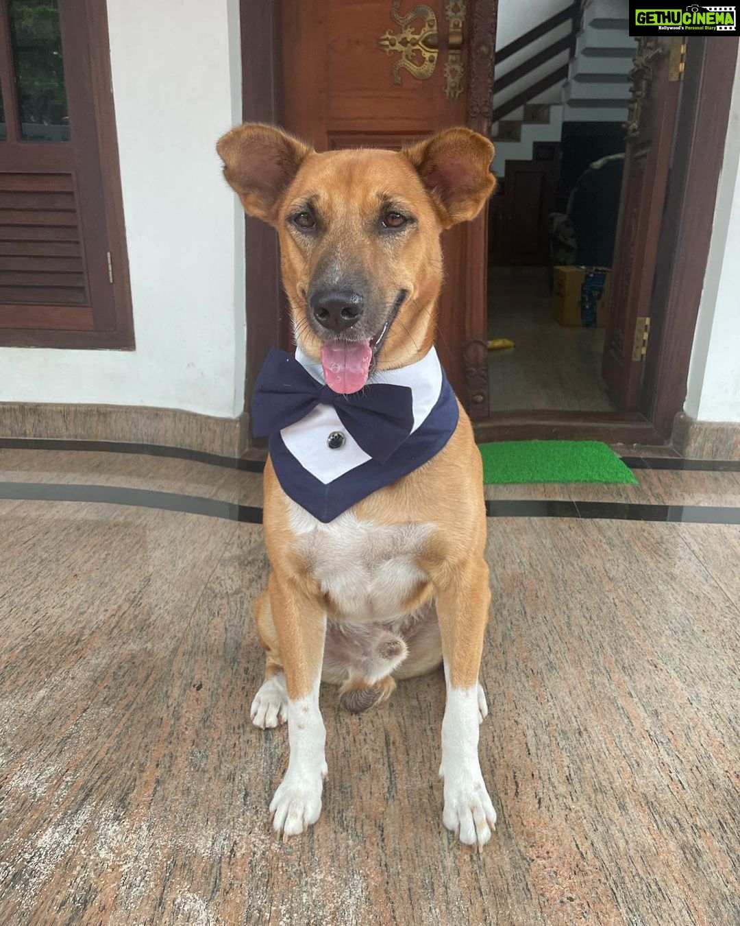 Anna Rajan Instagram - My birthday boy #whito. Love you so much my baby , you makes my heart smile and my eyes shine😜. #whito tq dadybeee for my giftsss love youuu