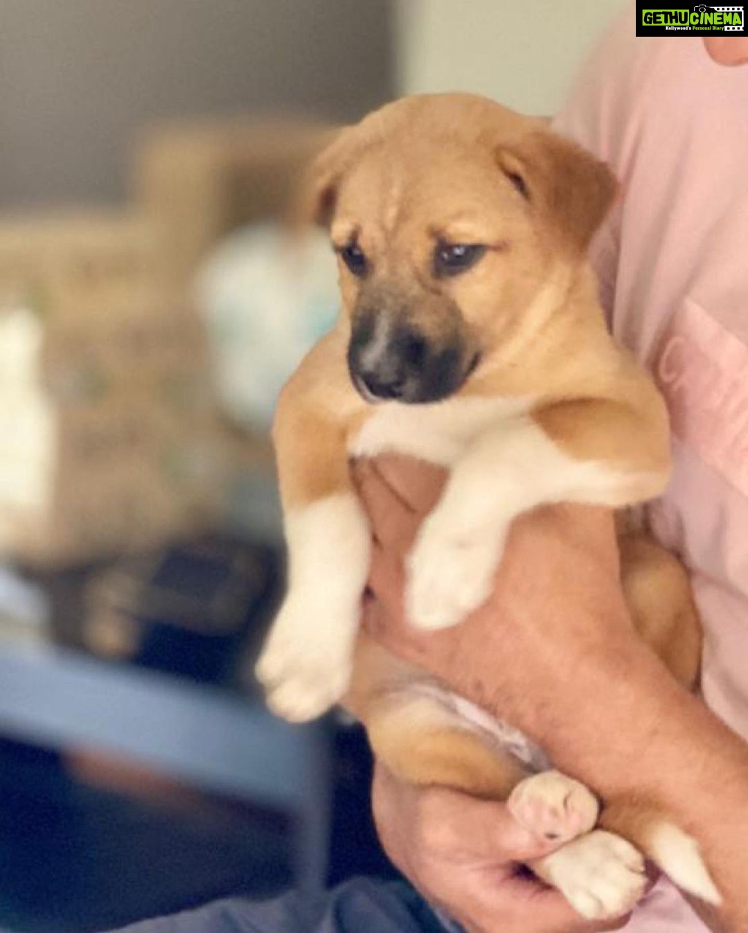 Anna Rajan Instagram - My birthday boy #whito. Love you so much my baby , you makes my heart smile and my eyes shine😜. #whito tq dadybeee for my giftsss love youuu