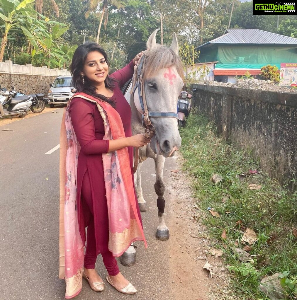 Anna Rajan Instagram - She is soo sweet&pavaam horsyy🥰🐎 #horse #pony #cutepony #cutehorse #whitehorse #love Ettumanoor, India