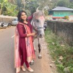 Anna Rajan Instagram – She is soo sweet&pavaam horsyy🥰🐎

#horse #pony #cutepony #cutehorse #whitehorse #love Ettumanoor, India