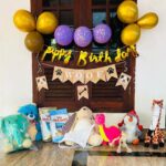 Anna Rajan Instagram - @whitospeeks Birthday celebration going to happen All of his close friends are here. #dino #jiffy #camele #pengue #longearrabbit(longee) #greenelepho #bluey. Missed u #orangey and #yellowe. @oscarbeagle1 busy with his younger brother . Im so proud to announce my Whito official instagram id @whitospeeks