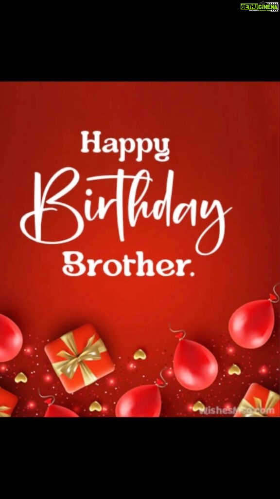 Anna Rajan Instagram - Happy birthday my big brother @shonrjn @jinucherian92 @sheeba.rajan.54922 🐾