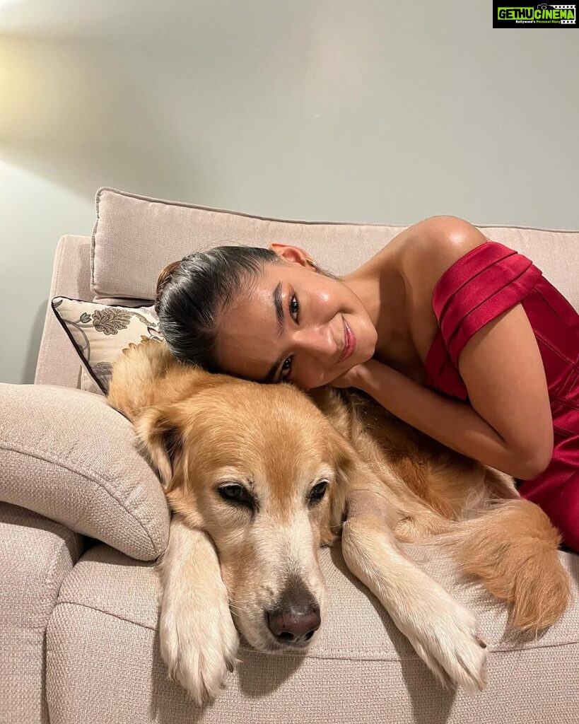 Anushka Sen Instagram - cuddles with my cutie 🐶✨💜🥰