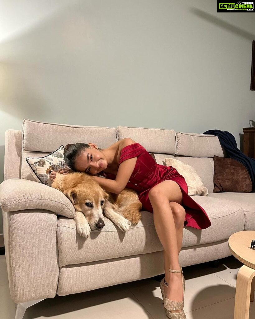 Anushka Sen Instagram - cuddles with my cutie 🐶✨💜🥰