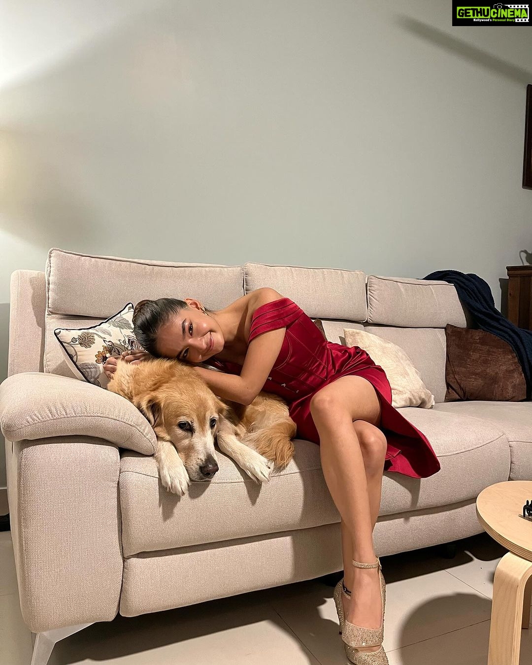 Anushka Sen Instagram - cuddles with my cutie πΆβ¨ππ₯°