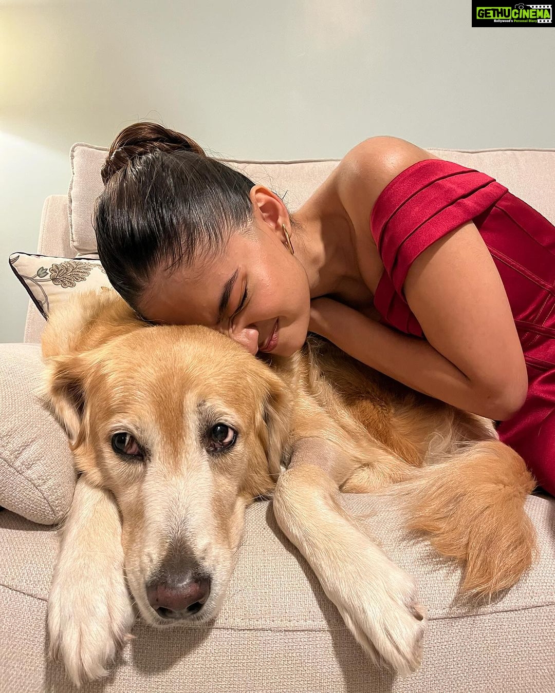 Anushka Sen Instagram - cuddles with my cutie πΆβ¨ππ₯°
